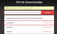 TikTok 视频下载:15个免费 TikTok 无水印下载在线网站/软件